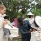Mortsels student helpt Tanzaniaanse imkers