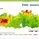 PAS